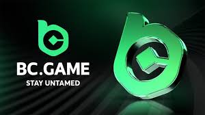 Comprehensive Insights on BC Game Reviews